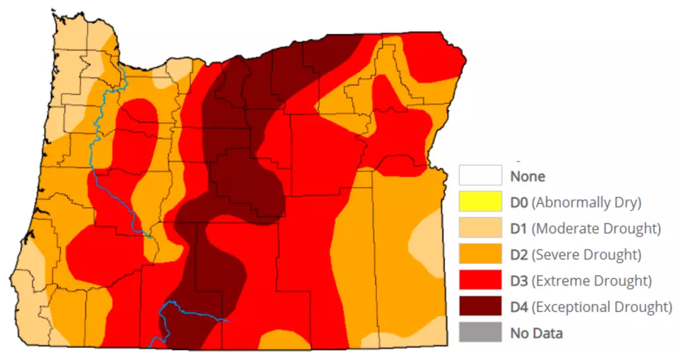 USDA To Invest Millions To Help The Klamath River Basin