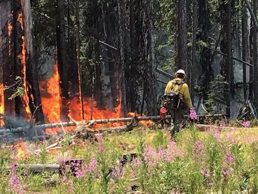 Oregon Wildfire Season Comes To A Close Saturday