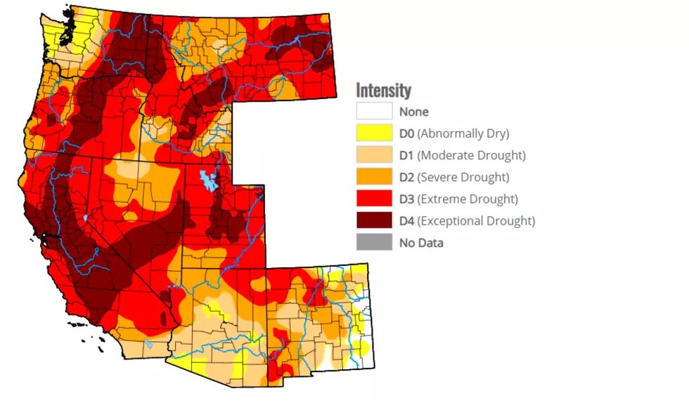 Meyer: Drought Has Impacted U.S. Spring Wheat Numbers