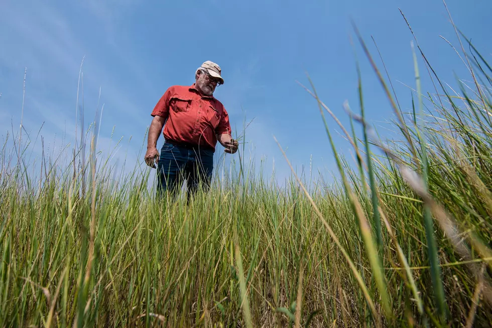 Ag Economy Barometer Declines