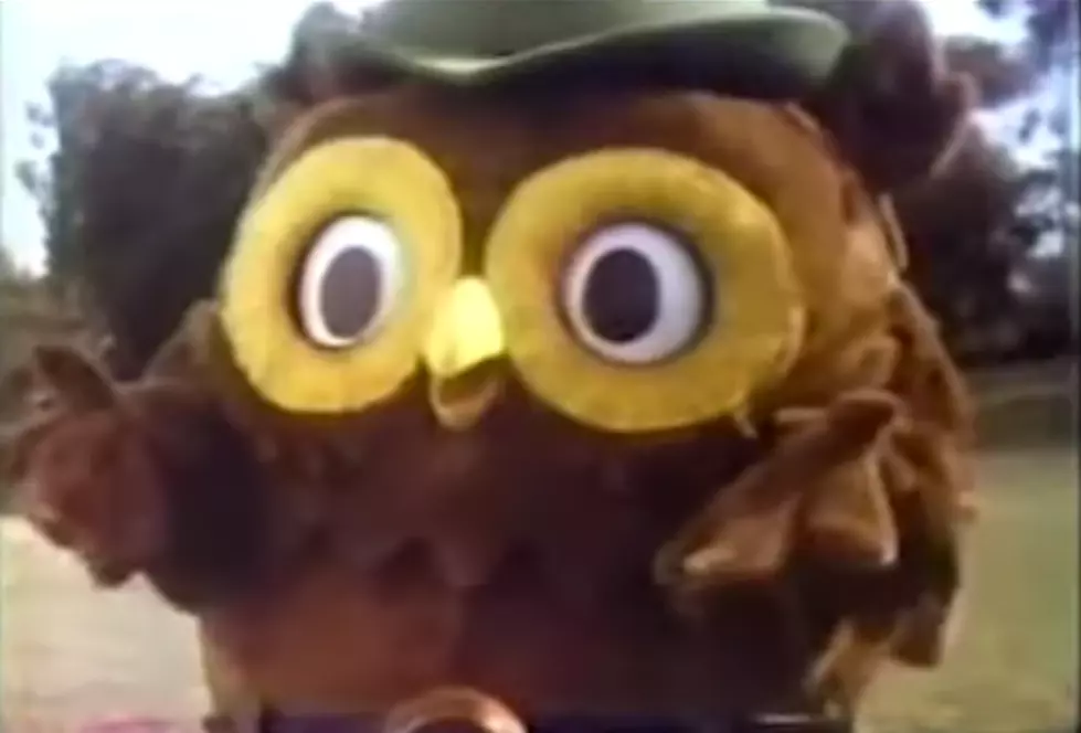 Woodsy Owl Turns 50