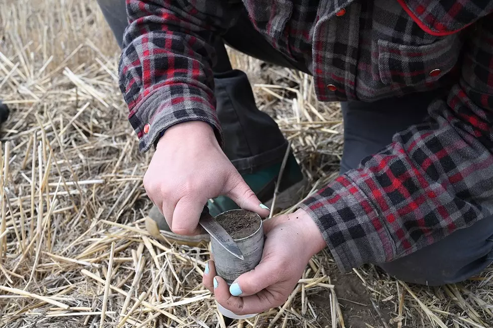 WSDA Looking To Study Soil Health Statewide