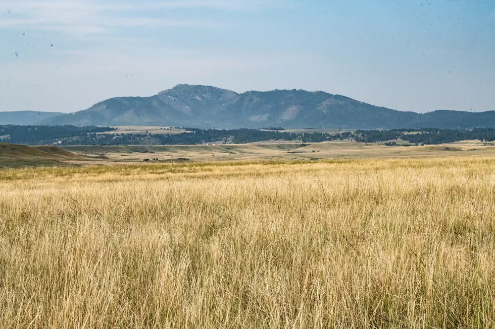 Pasture Conditions Don&#8217;t Look Good Nationwide