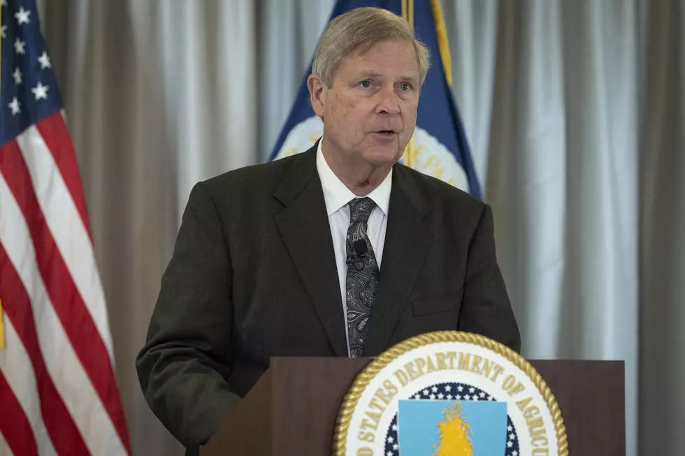 Vilsack Asking Everyone To Prevent The Spread Of Bird Flu