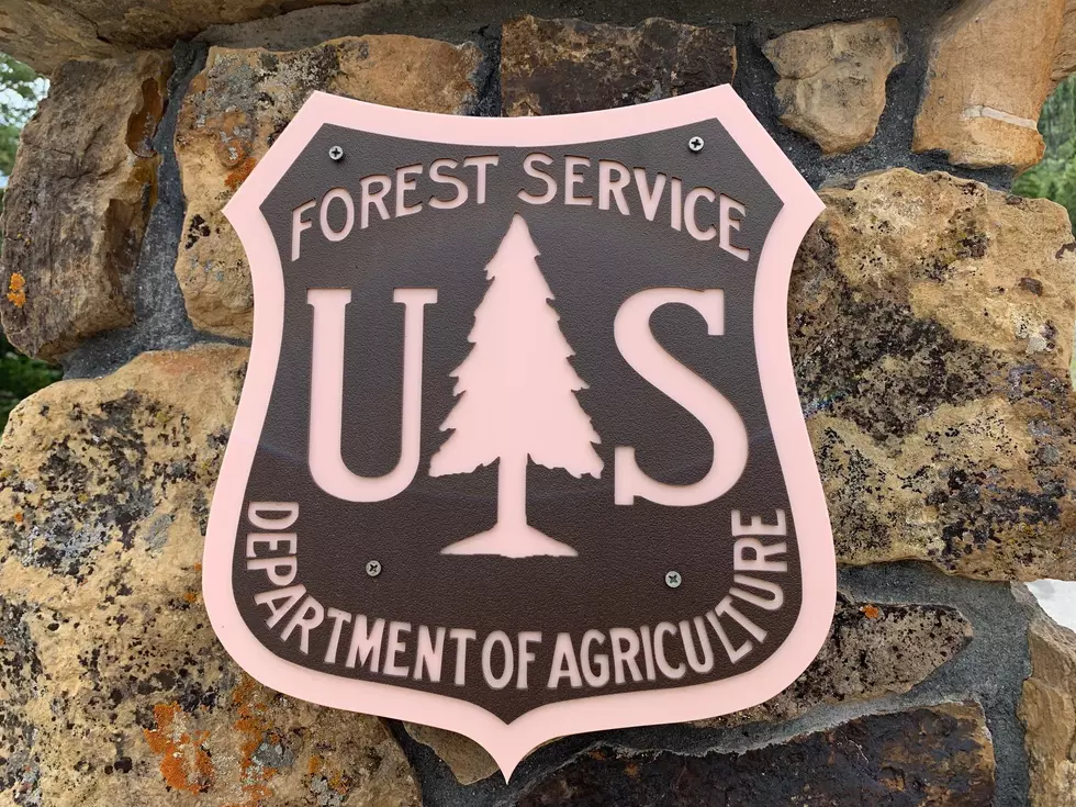 Oregon, Idaho Wildfire Mitigation Projects Will Get USDA Funds
