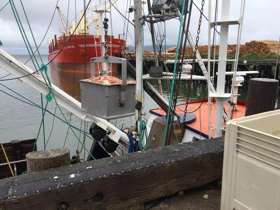  Seafood Processors Grant Program Application Deadline Extended