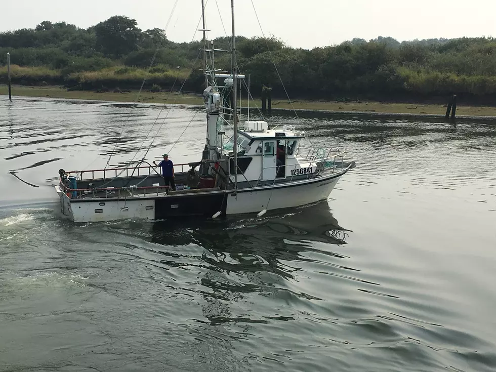 ODA Closes Clamming On Entire Oregon Coast