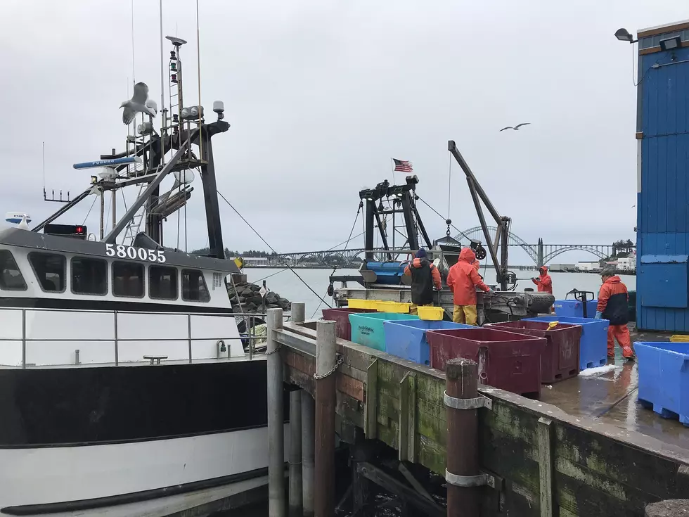 Washington, Oregon To Receive Grant Money To Support Seafood Processors