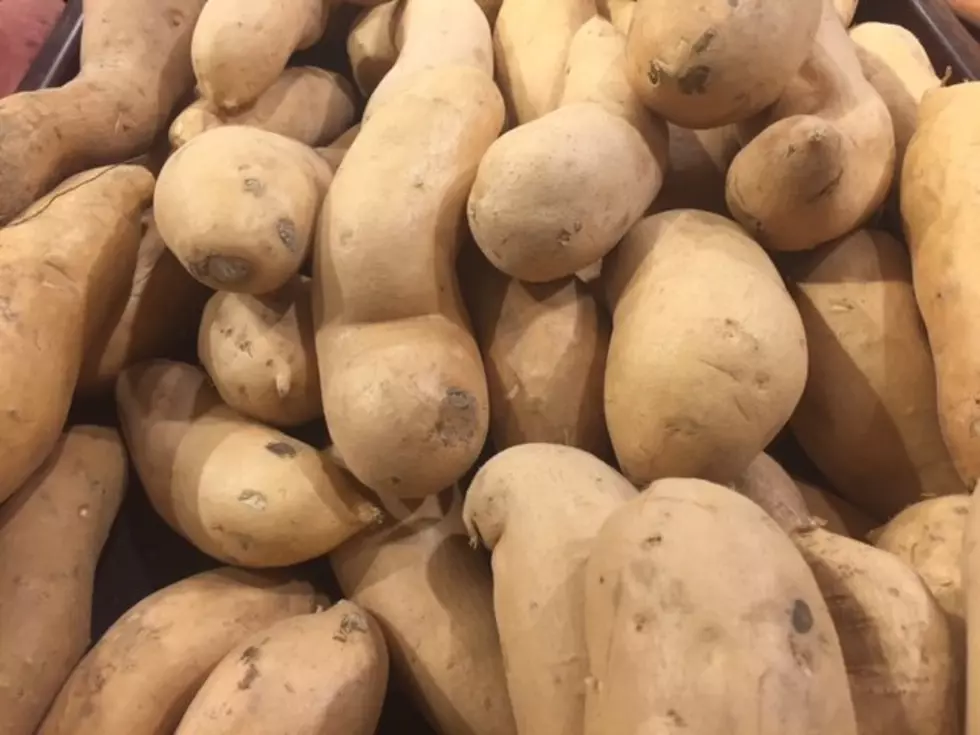 Sweet Potatoes Are Becoming A Washington Commodity, Thanks To WSU