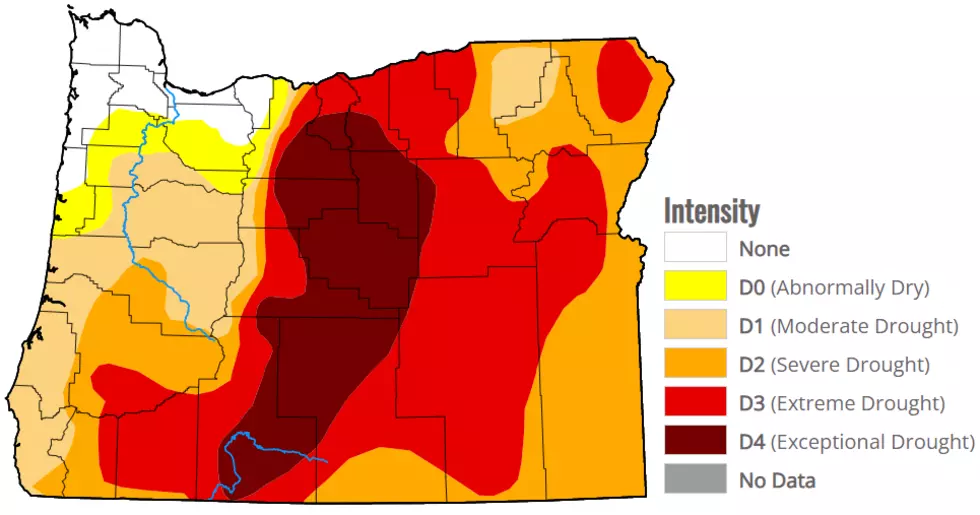 Oregon Extremely Dry As Winter Starts To Draw To A Close