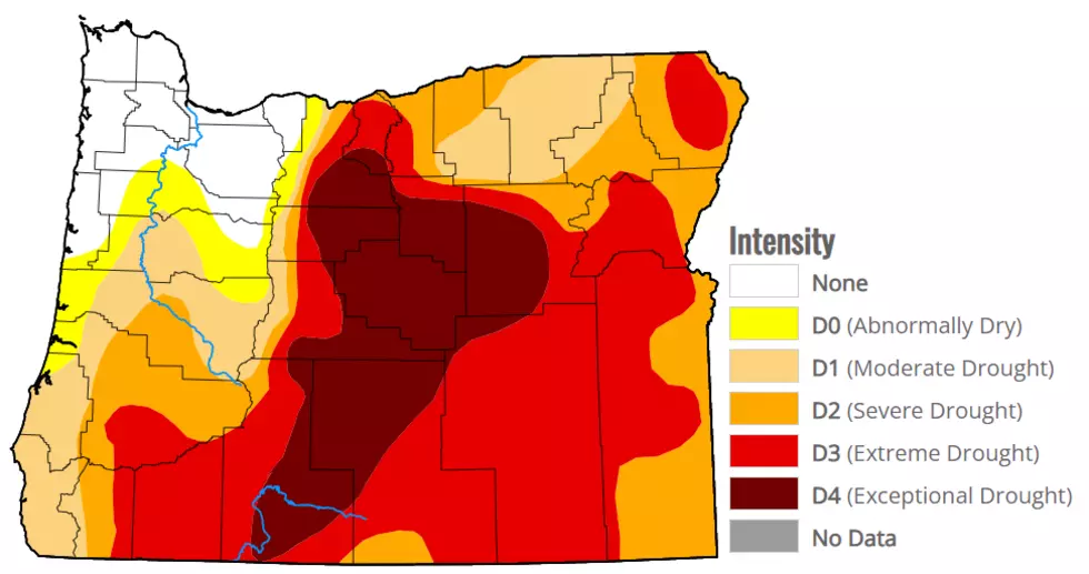 Drought Conditions Unchanged After Wet Week