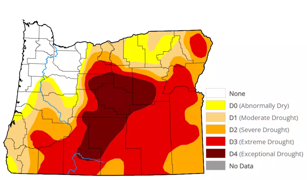 Brown Declares Drought In Four Oregon Counties