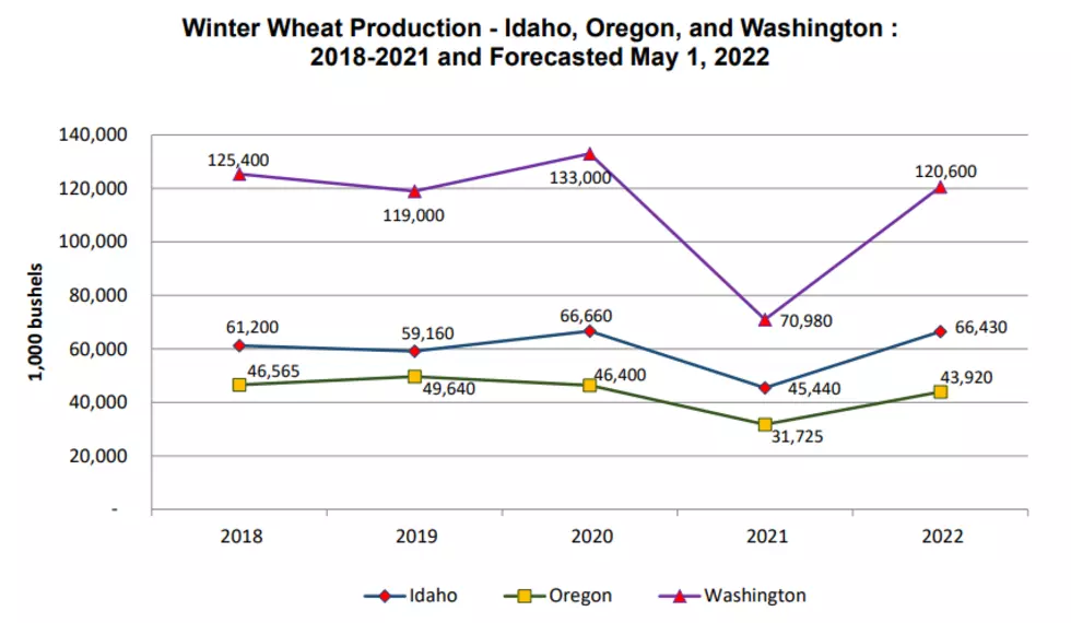 NW Winter Wheat Production Up 56% Year-Over-Year