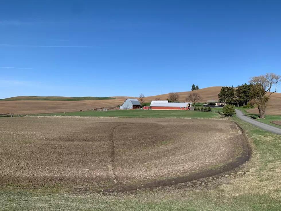 USDA Says Farm Profits To Reach Near-Record High in 2022