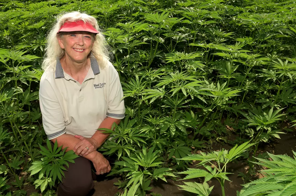 “Idaho Has Great Potential For Hemp Production”