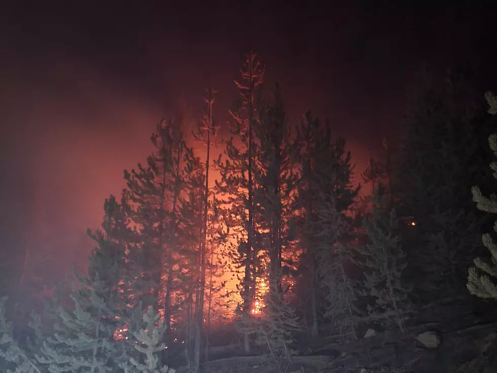 USDA Announces Wildfire Prevention Investments
