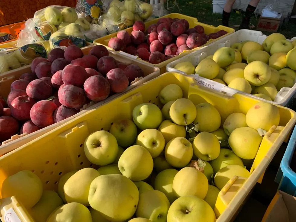 Farmers Market Minute: Volunteers Are Key To Our Success