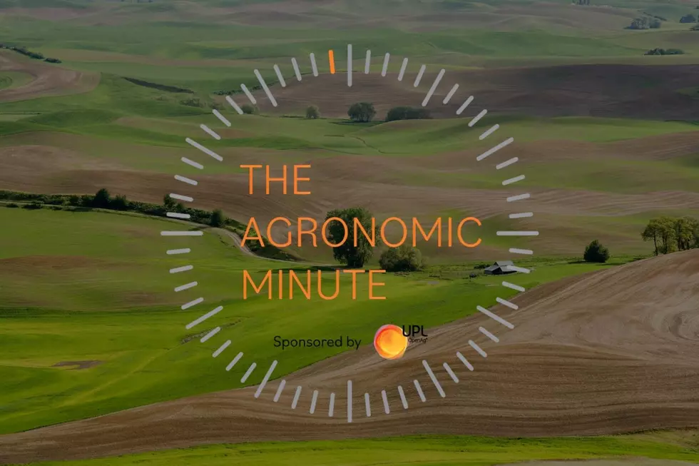 UPL Agronomic Minute: Identifying Your Pests