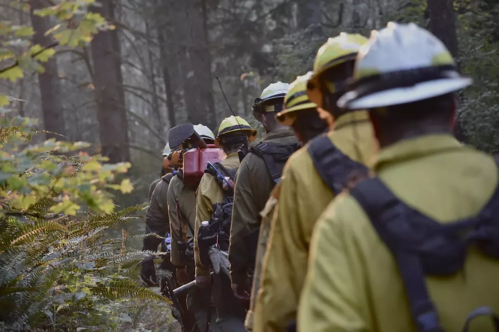 Washington DNR Hiring Permanent Wildfire/Forest Health Positions