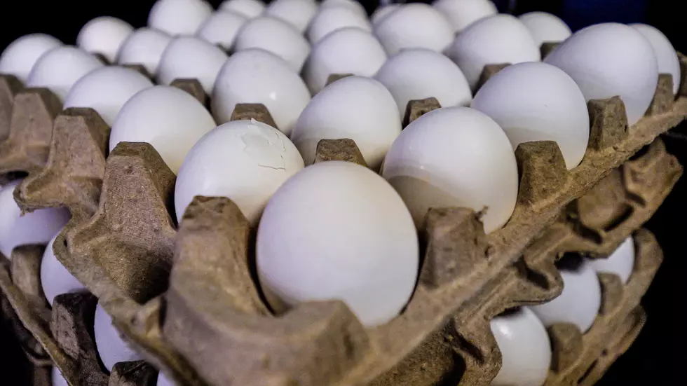 Farm Group Wants Investigation Into Egg Prices