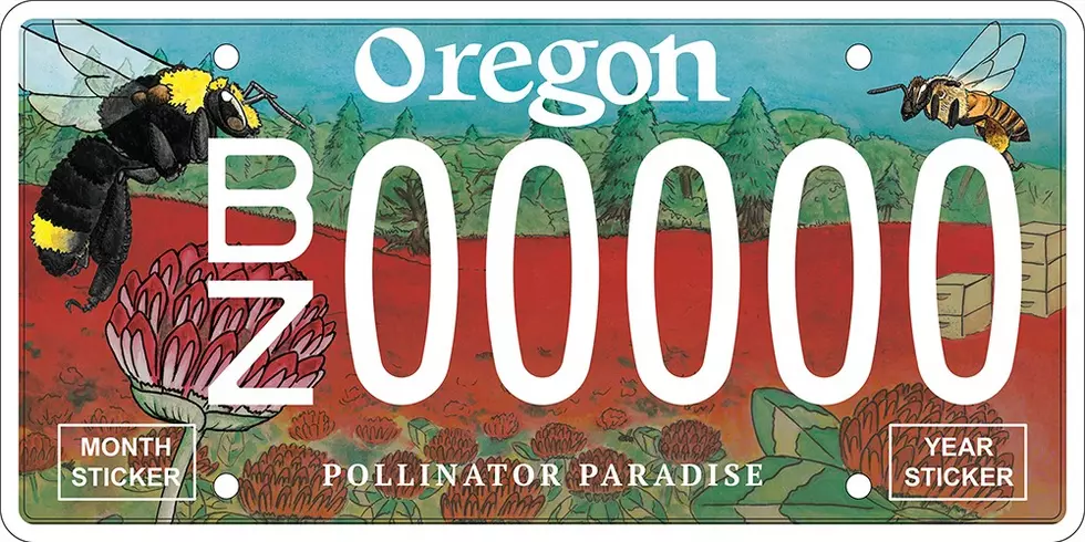 Bee License Plate Gaining Traction In Oregon