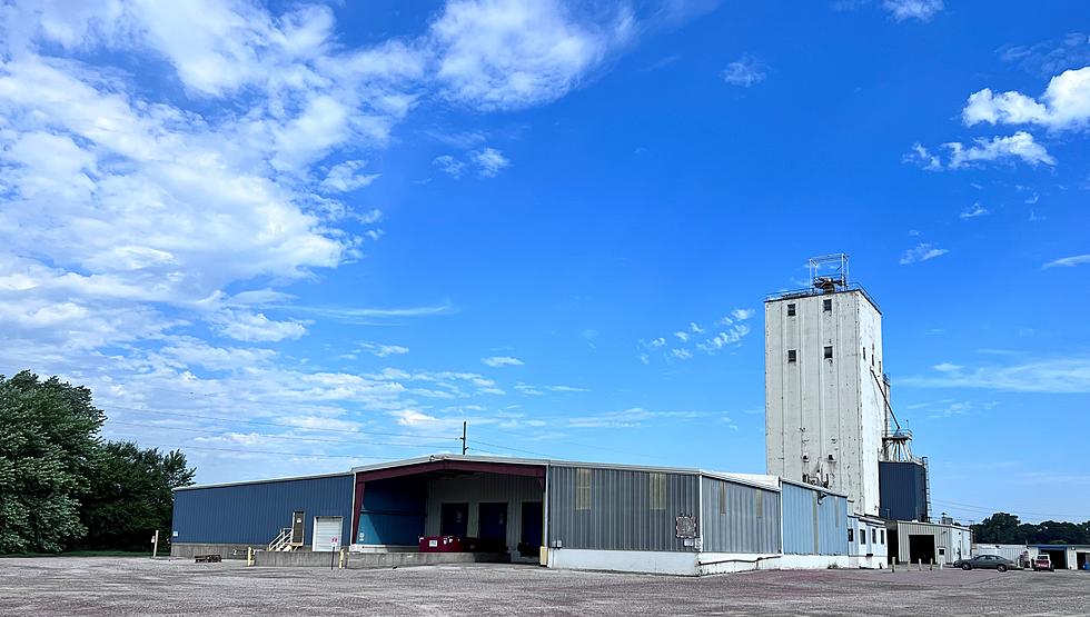 WA Livestock Feed Company Opens NE Mill