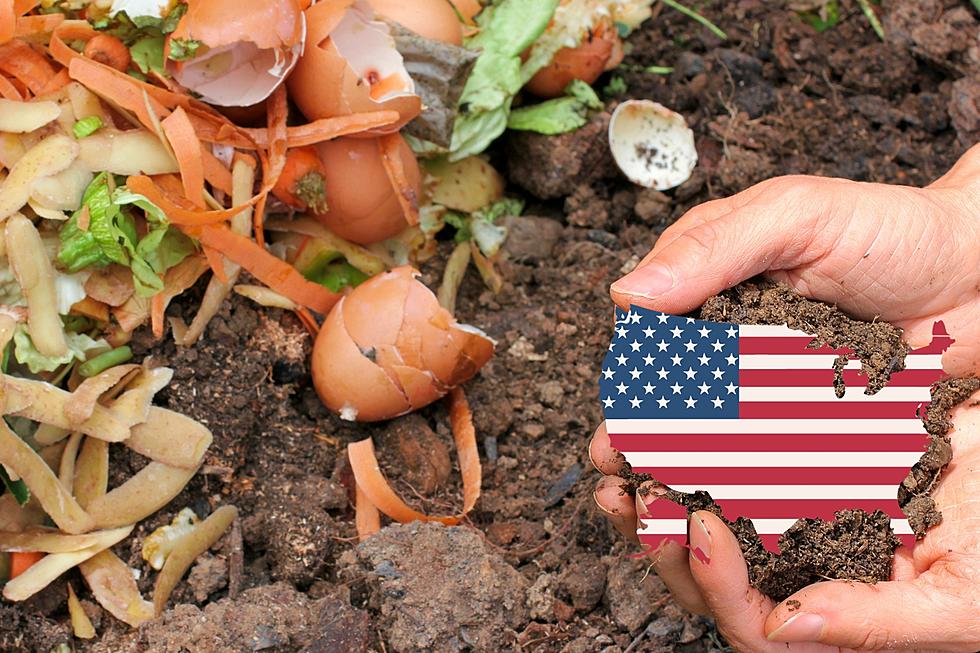 Federal Agencies Propose Strategy For Reduced Food Loss and Waste
