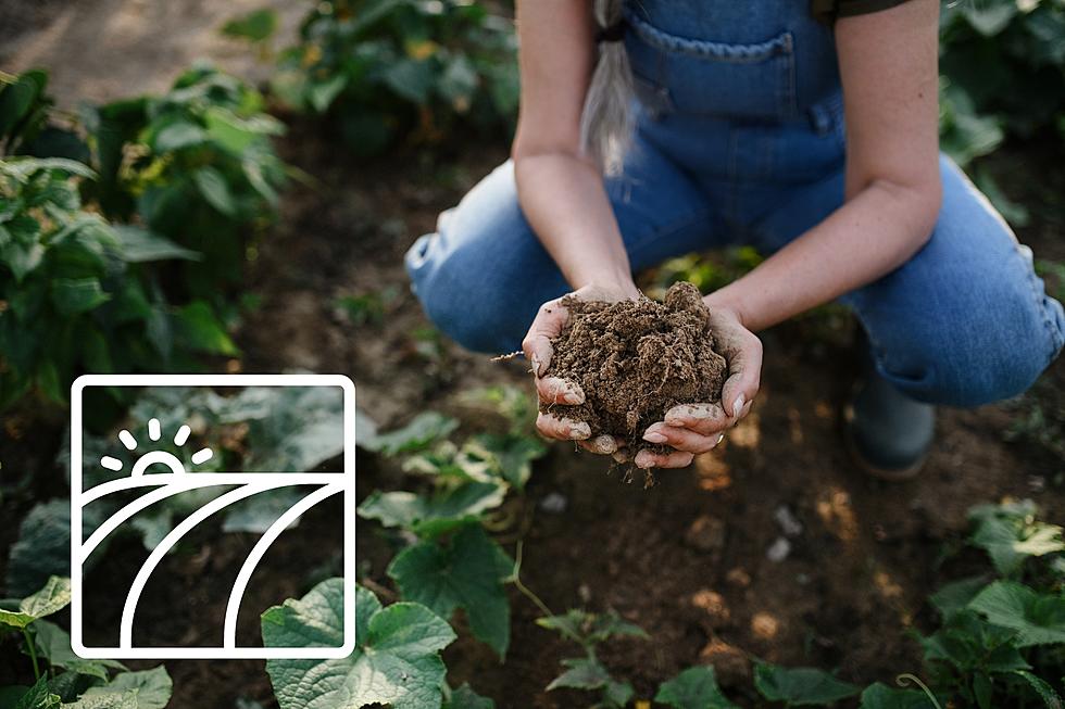 Discover The Latest Soil Health Research At SoilCon24