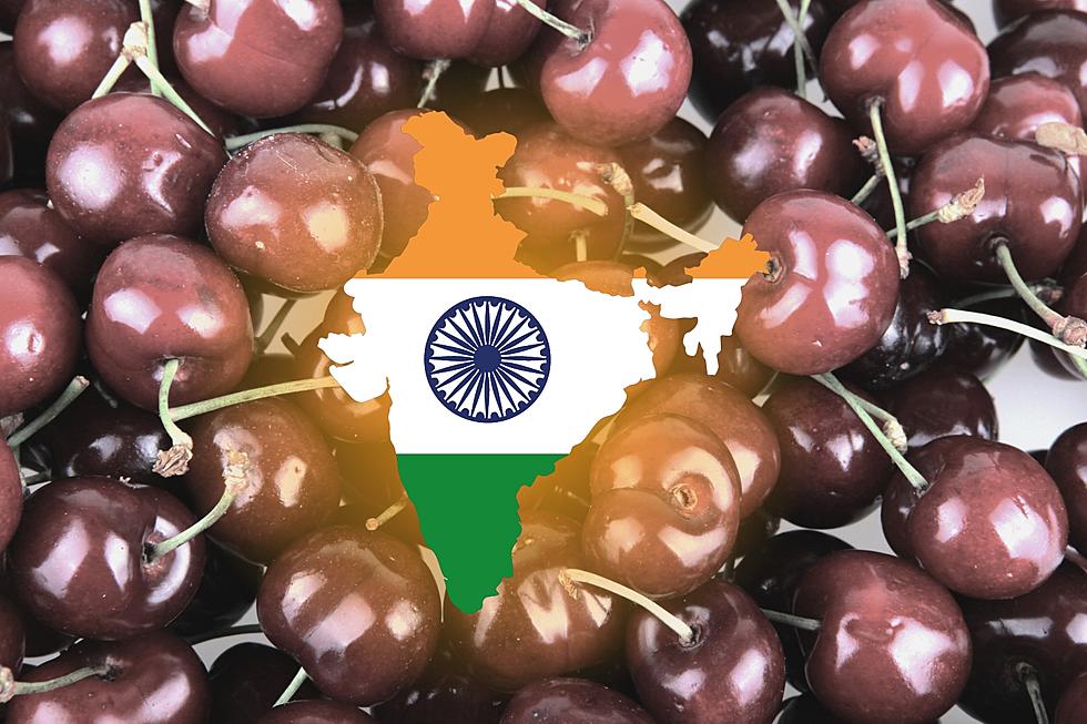 Pacific Northwest Cherries Launch Promos in India To Entice Exports