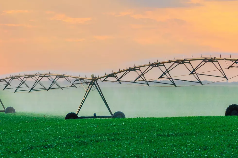 FDA Final Rule For Ag Water Provisions To Go In Effect July 2024