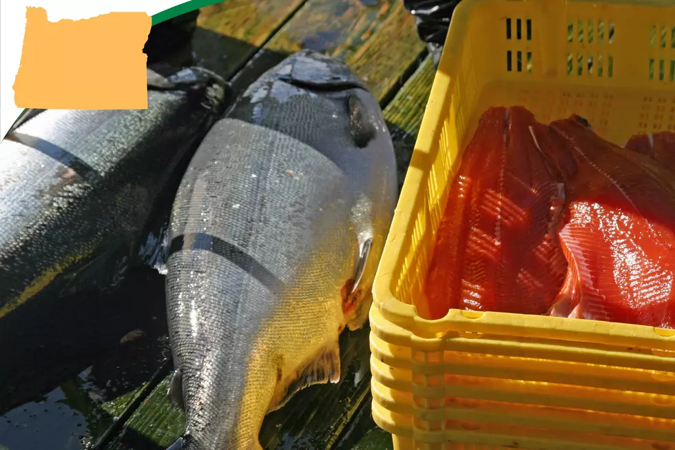 Oregon commercial salmon fishery disaster funds: $7M available