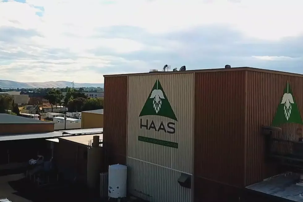Interview: Haas®, Hops, and Women in Manufacturing