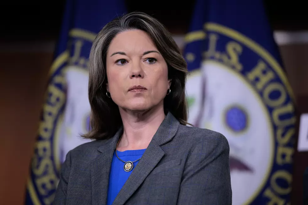 House Democrats Push Back Against The Administration