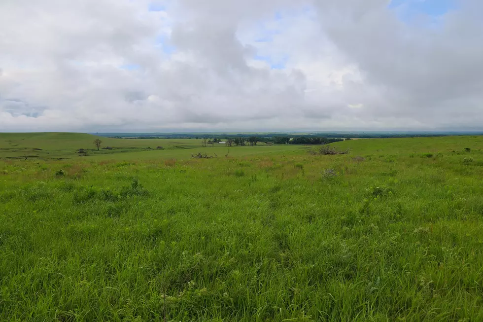 Grants For Conservation Efforts