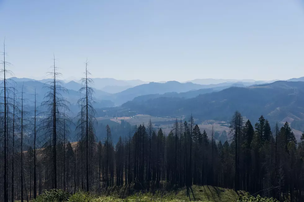 Photo: BLM