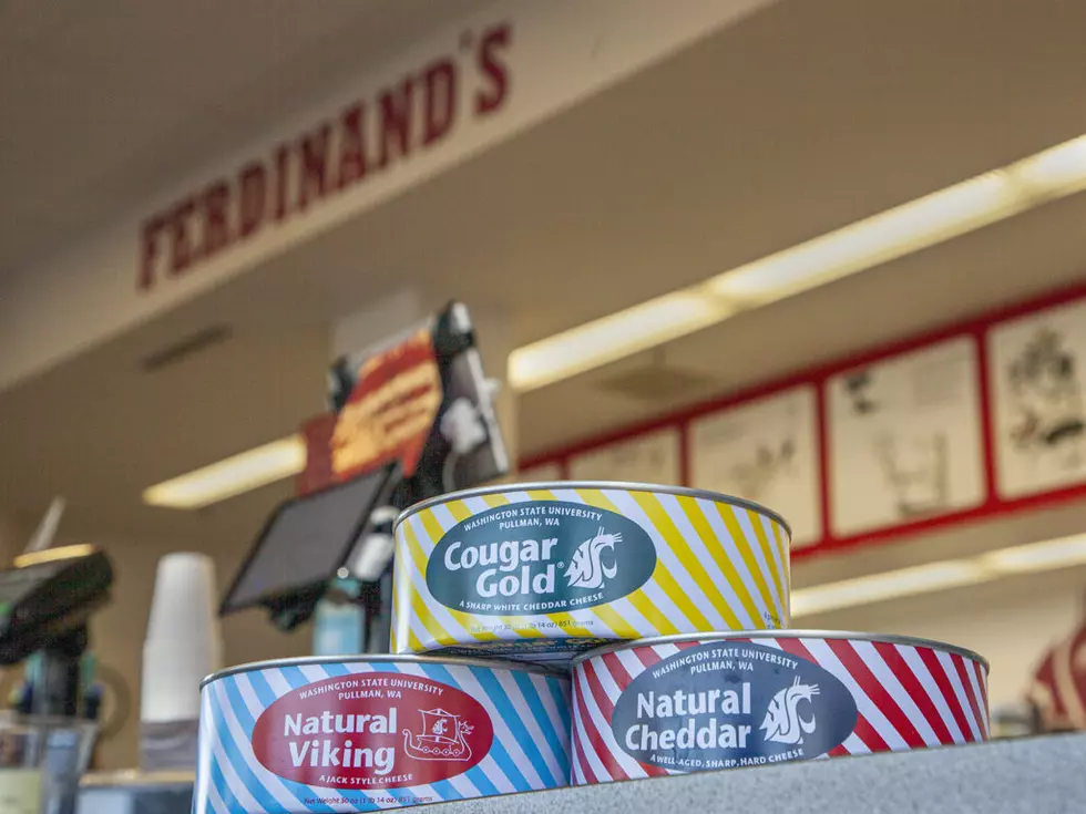 WSU Approves Upgrades To Ferdinand’s