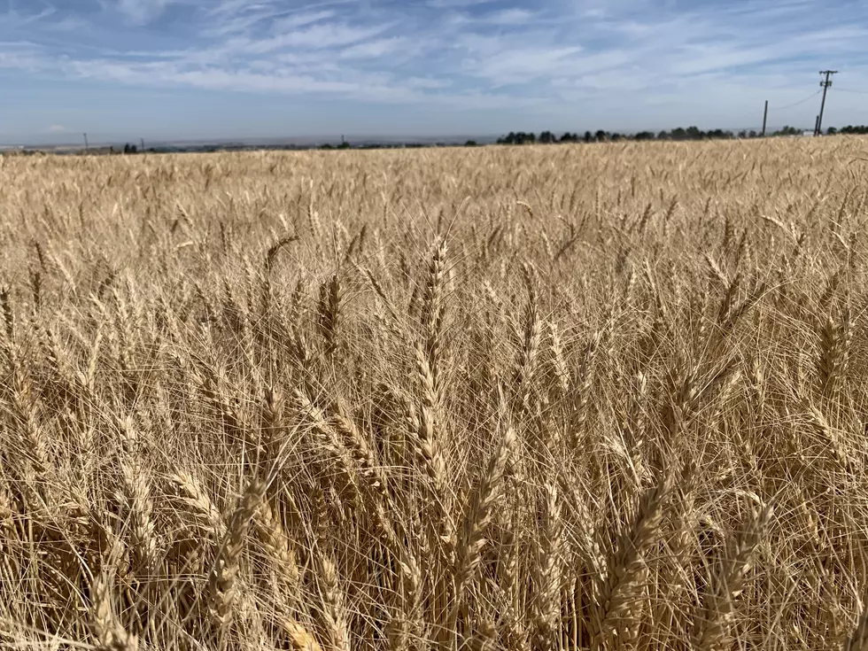 Oregon-Based Pratum Joins Aligned Ag Distributors Ownership