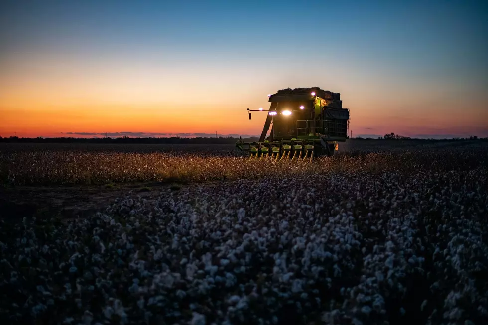 Photo: USDA