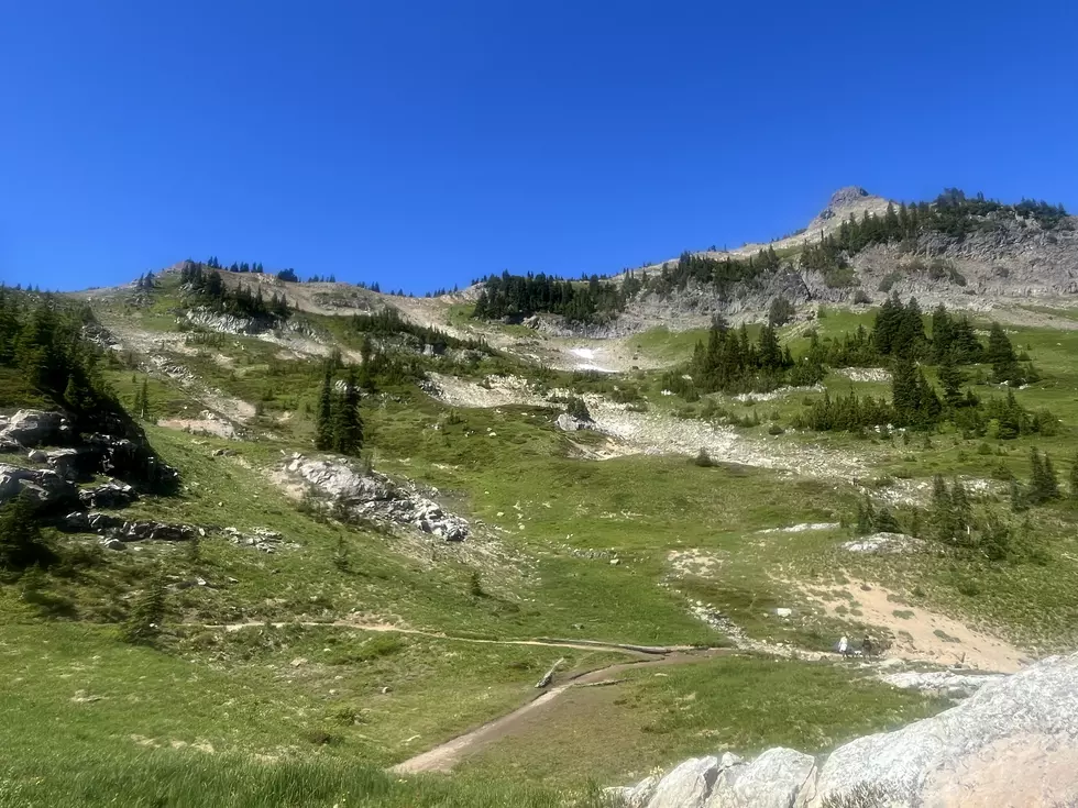 AI-Powered Cameras Being Used On BLM Lands