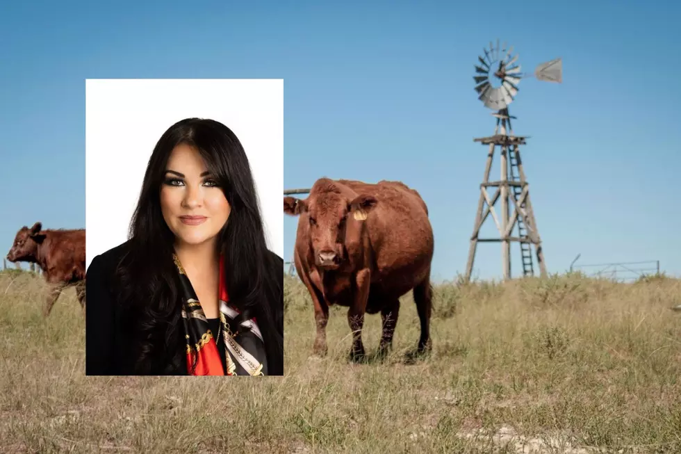 Will Idaho’s Packers, Livestock Sector Benefit From SPUR?