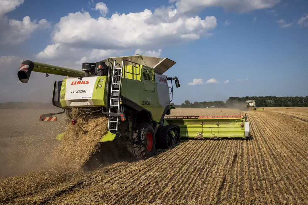 Black Sea Conflict Keeps Pressure on Global Wheat Market