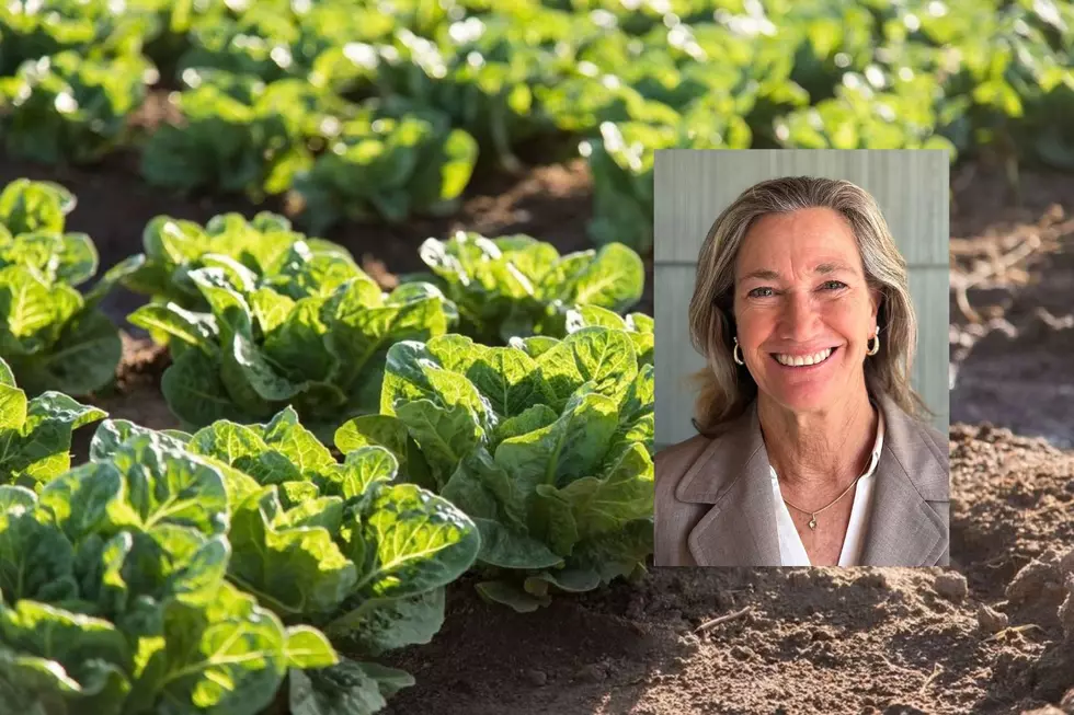 Wilbur-Ellis Highlights New Organic Nitrogen Management Playbook