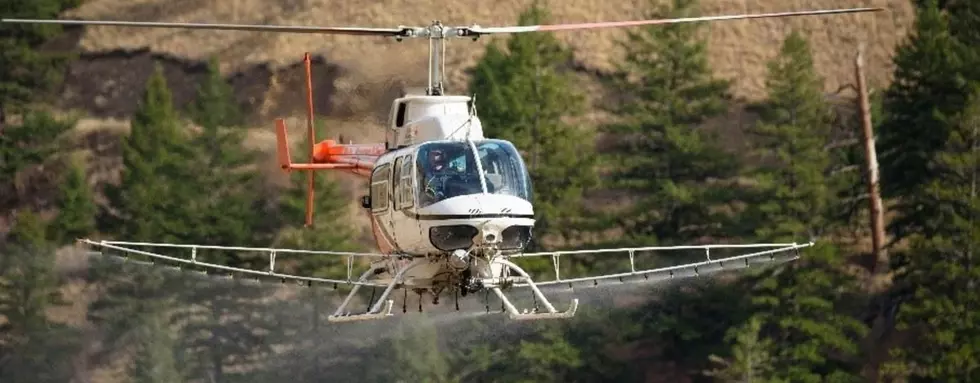 Idaho Taking To The Air To Fight Invasive Weeds