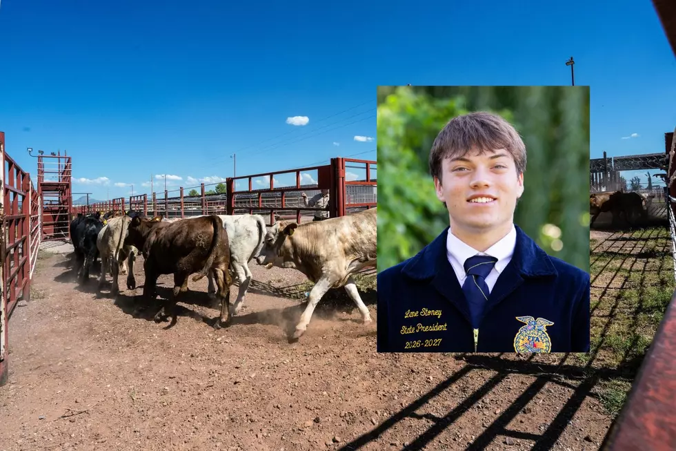 Future Of Farming: Young People Aren’t Connected To Agriculture