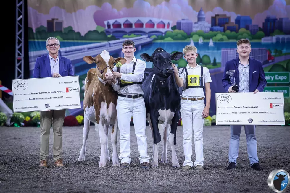 World Dairy Expo Kicks Off Tuesday