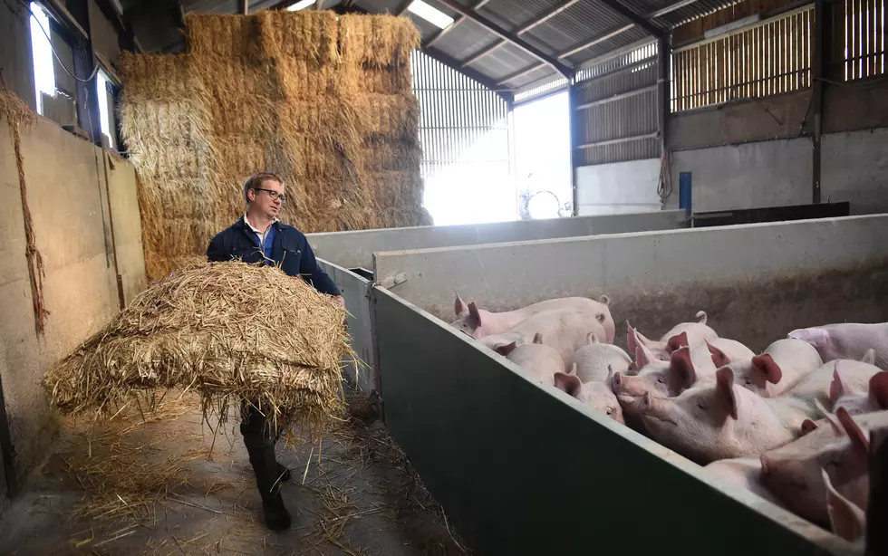 Report Warns European Farmers Falling Behind Global Competitors