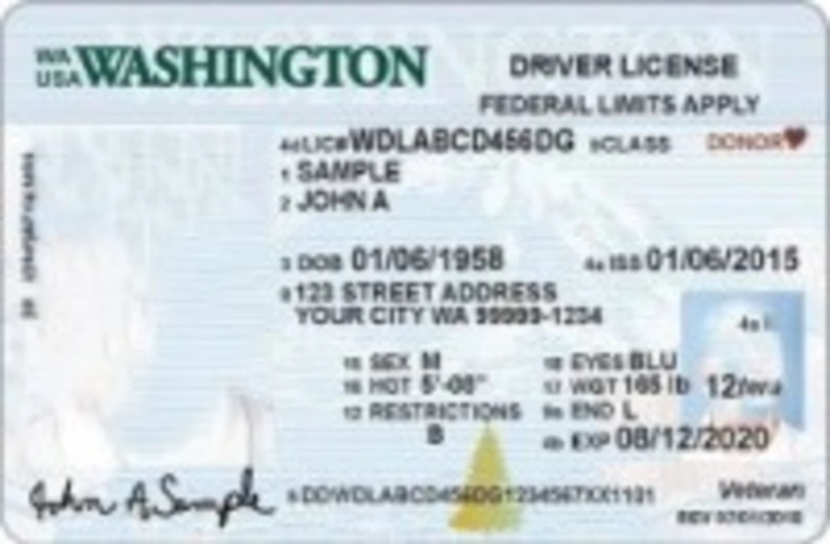 Washington Driver License