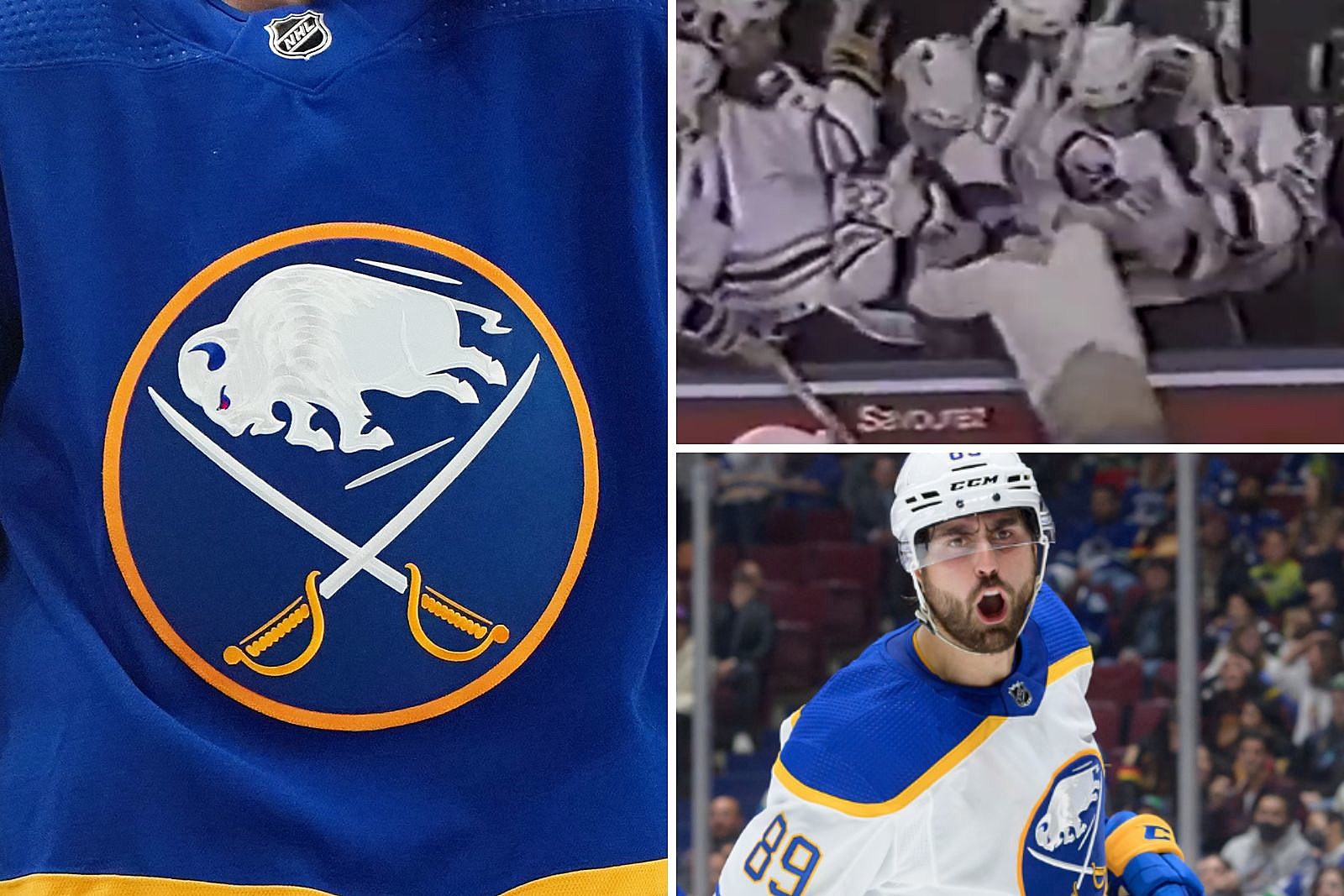 WATCH Buffalo Sabres Player Beats Up Fan Who Jumps Glass