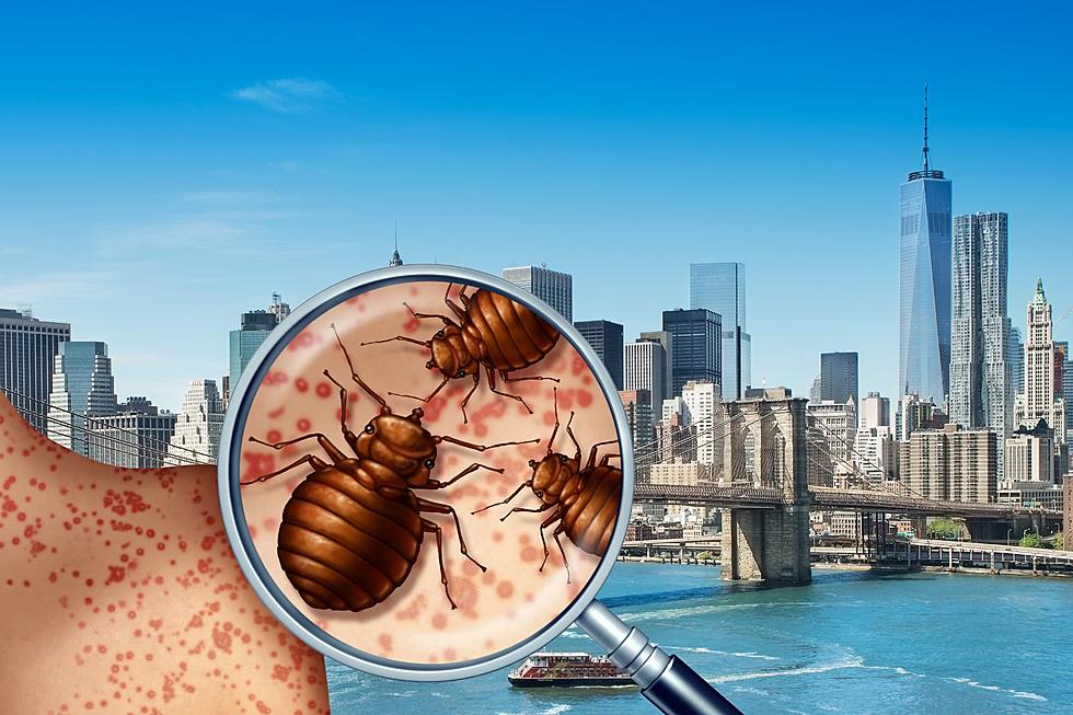 Bed Bugs Are Taking Over These Two New York Cities