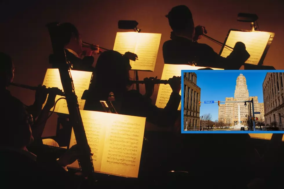 Summer Concerts Coming from Buffalo Philharmonic Orchestra